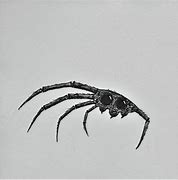 Image result for 5 Legged Animal