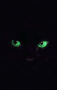 Image result for Green and Black Cat