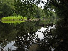 Image result for White Pines Nature Preserve