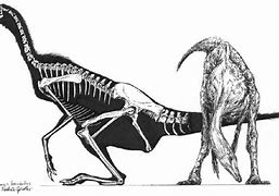 Image result for Dromiceiomimus