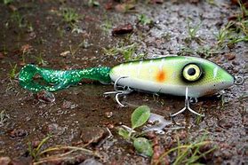 Image result for Fly Fishing Bait