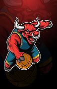 Image result for Bloomingdale Bulls Basketball Logo