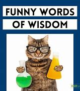 Image result for Funny Words of Wisdom Sign