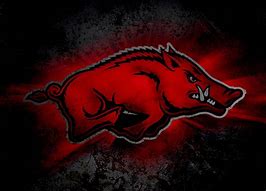 Image result for Arkansas Razorbacks