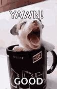 Image result for Good Morning Yawn GIF