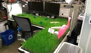 Image result for Spring Loaded Desk Drawer Pranks