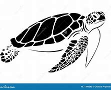 Image result for Turtle Graphic Design