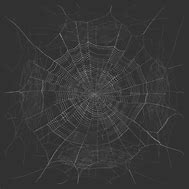 Image result for Spider Web Texture