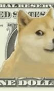 Image result for Yaco Doge GIF