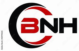 Image result for Bnh Dz Logo