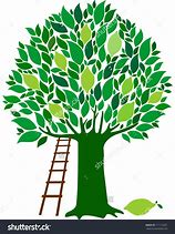 Image result for Lime Tree Clip Art