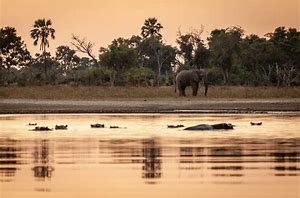 Image result for Okavango Inland Delta