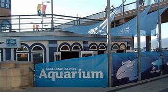 Image result for Santa Monica Pier Aquarium