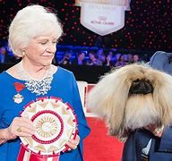 Image result for AKC Champions