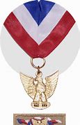 Image result for Girl Scout Eagle Awards