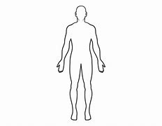 Image result for Cartoon Body Silhouette