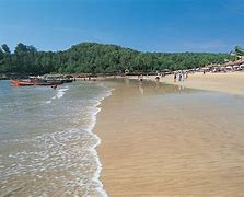 Image result for Goa Baga Foreign