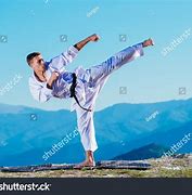 Image result for Front Kick by Mea Geri