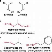 Image result for Oxime