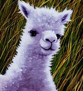 Image result for Cute Fluffy Baby Alpacas