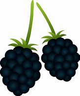 Image result for Free Clip Art Blackberries