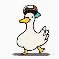 Image result for Duck PFP