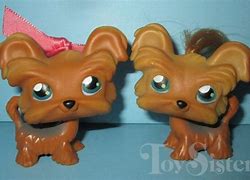 Image result for Littlest Pet Shop Gen 6