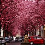 Image result for Bonn, Germany