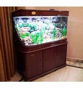 Image result for Xin You Aquarium