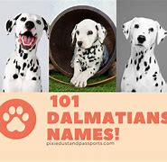 Image result for 101 Dalmatians Movie