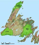 Image result for Newfoundland Caribou