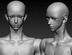 Image result for BJD Head Inside