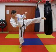 Image result for Japanese Man Karate Kick