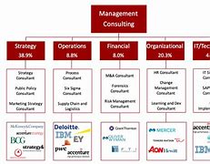 Image result for Management Consulting Diagrams