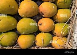 Image result for Impa Fruit