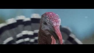 Image result for KFC Christmas Advert