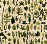 Image result for Poster Made with Leaves