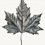 Image result for Christmas Leaf Drawing