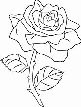 Image result for Rose Flower Clip Art Black and White