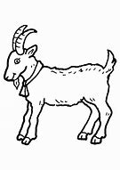 Image result for Colouring Cartoon Goat