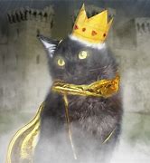 Image result for King Cat Zine