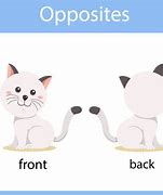 Image result for Cat Tail Moods