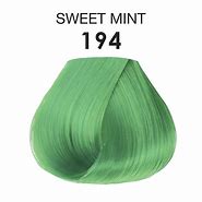 Image result for Mint Powder Hair Colour