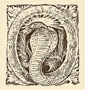 Image result for Ancient Snake Pattern