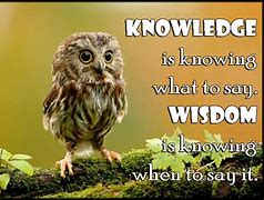 Image result for Quotes On Knowing Stuff