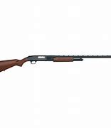 Image result for Mini 12 Gauge Shotgun