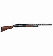 Image result for Best Affordable 12 Gauge Shotgun