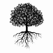 Image result for Tree Roots Clip Art Black and White