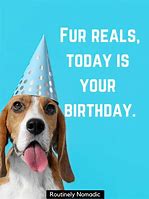 Image result for Happy Birthday Dog Puns