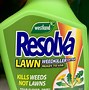 Image result for Best Systemic Weed Killer